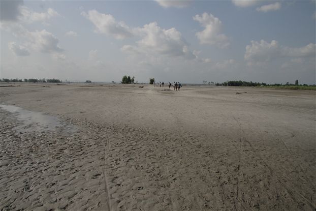 DPP_20142_R.jpg