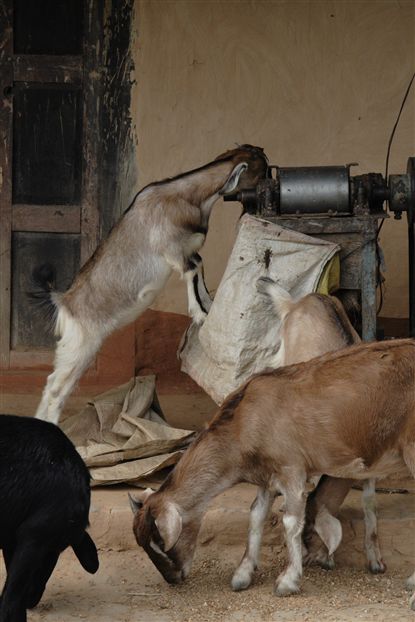 DPP_30087_R.jpg